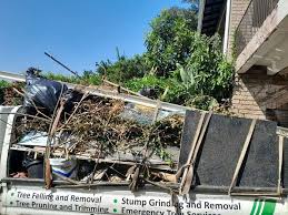 Shed Removal in Genoa, OH